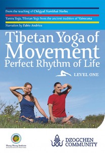 YY_FrontCover_LevelONE_501